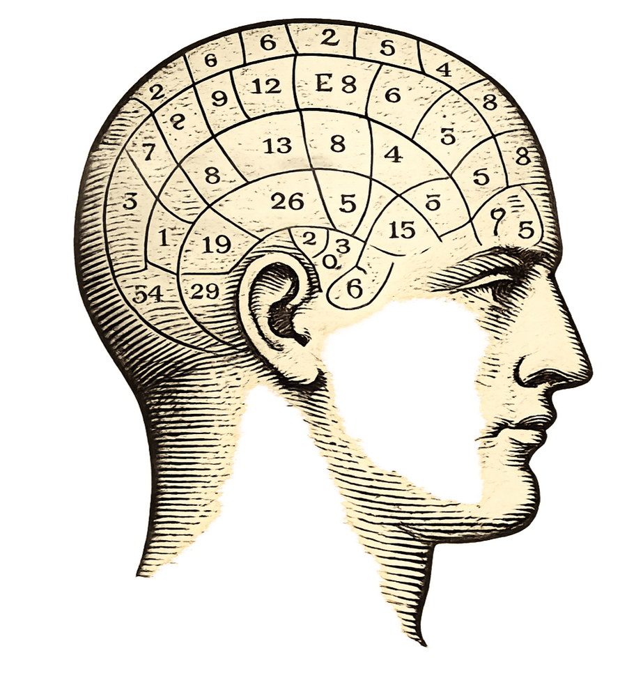 Vintage engraving of a 19th-century phrenological head diagram used as a decorative emblem.
